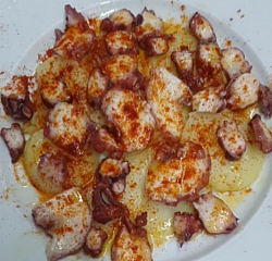 Pulpo